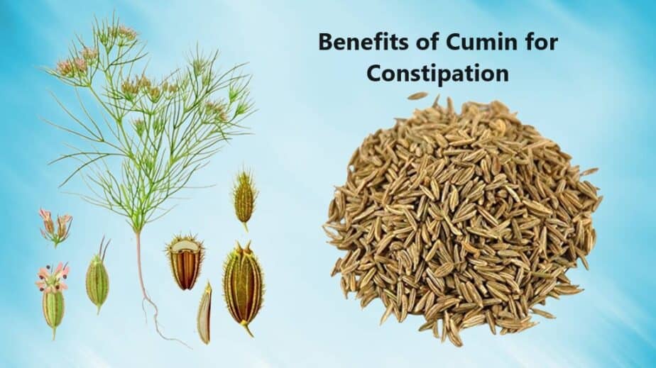 Benefits of Cumin for Constipation